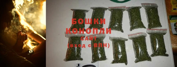 сатива Россошь