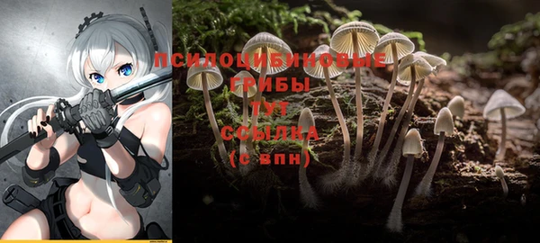 гидра Ростов