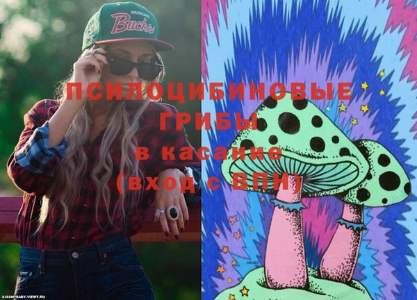винт Карпинск