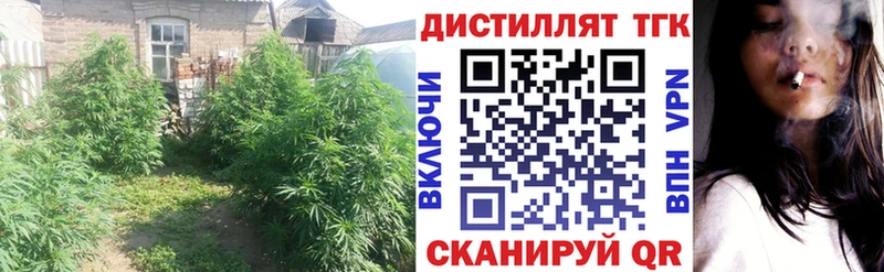ТГК вейп  Нерчинск 