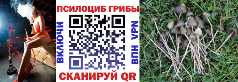Галлюциногенные грибы Magic Shrooms Нерчинск